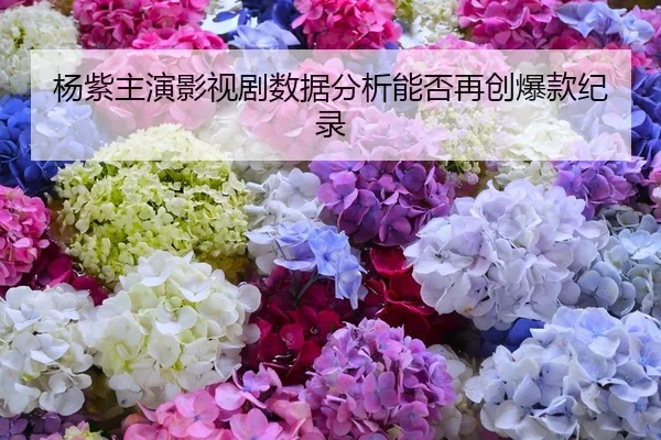 杨紫主演影视剧数据分析能否再创爆款纪录